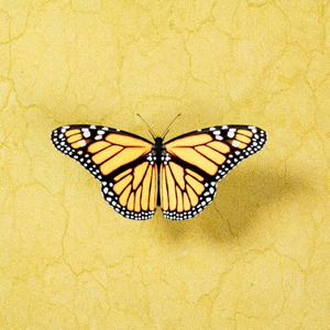 KTV女厕偷拍正面尿视频
