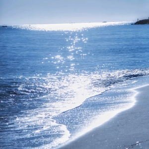 1024午夜福利午无码视频在线
