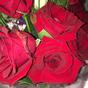 1024午夜福利午无码视频在线
